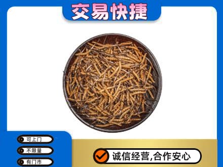 玉溪市元江礼品回收虫草.jpg